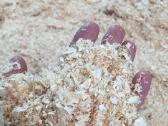 Pjuvenos pakratams. Kraikas. "Animal bedding"