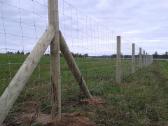 Tvoros ,ruloninės tvoros tinklas Tornado, Hampton - nuotraukos Nr. 4