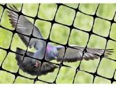 Tinklas Augalams, nuo Paukščių , Saulės , Kurmių, - nuotraukos Nr. 6