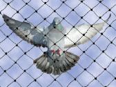 Tinklas Augalams, nuo Paukščių , Saulės , Kurmių, - nuotraukos Nr. 3