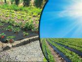 Agrotekstilė,juoda, žalia 0,4 iki 4,2 m. + Smaigai