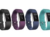 Fitbit Charge 2 spalvos - nuotraukos Nr. 23