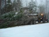 Apleistu sklypu tvarkymas, nemok. kertame krūmus