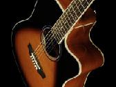Naujos akustinės, el. akustinės gitaros ir dėklai - nuotraukos Nr. 15