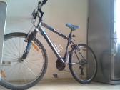 Dviratis Bulls MTB
