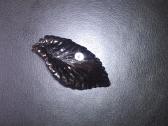 Sagė "lapelis" - nuotraukos Nr. 2