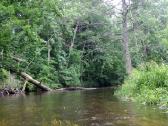 Baidarių nuoma Anykščiuose - nuotraukos Nr. 5