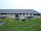 Beasbestis šiferis cembrit maži lapai 7.5eur - nuotraukos Nr. 9