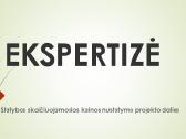 Projekto dalies ekspertizė