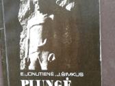 Plunge