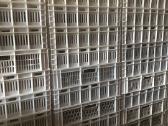 Plastikines dėžutes , daržovėms braškėms vaisiams - nuotraukos Nr. 3