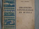 1945m organizmo uzsimezgimas ir raida
