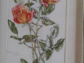 Botaniniai ir litografijos paveikslėliai - nuotraukos Nr. 8