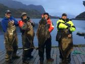 Organizuoju žvejybines keliones i Norvegiją - nuotraukos Nr. 4 | Skelbiu.lt Organizuoju žvejybines keliones i Norvegiją - nuotraukos Nr. 4