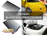 Blakstienos automobiliui! - nuotraukos Nr. 2