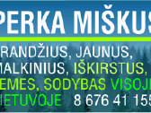 Nuolatos perkame miškus