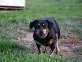 Kalytė Tena