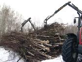 Perkame žaliavą biokurui, valome krūmynus - nuotraukos Nr. 2