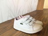 Lacoste kedukai