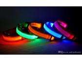 LED šviečiantys antkakliai šunims - nuotraukos Nr. 3
