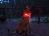 LED šviečiantys antkakliai šunims - nuotraukos Nr. 7