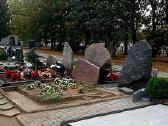 Pavojingų medžių pjovimas, genėjimas - nuotraukos Nr. 14