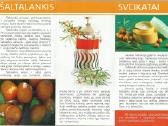 Veislinių šaltalankių sodinukai, galiu užsodinti - nuotraukos Nr. 13