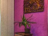 Skysti Tapetai Silkplaster-tapetų dėjimas. - nuotraukos Nr. 14