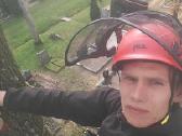 Arboristas. Medžių pjovimas, kelmų naikinimas - nuotraukos Nr. 18