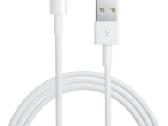 20w iPhone įkrovikliai, laidai, ausinės - nuotraukos Nr. 3