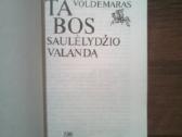 A. Voldemaras "Pastabos saulėlydžio valandą" - nuotraukos Nr. 2
