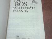 A. Voldemaras "Pastabos saulėlydžio valandą" - nuotraukos Nr. 2