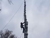Arboristas. Medžių pjovimas, kelmų naikinimas - nuotraukos Nr. 7
