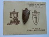 1410-1945grunvaldo apdovanojimas su dokumentu | Skelbiu.lt 1410-1945grunvaldo apdovanojimas su dokumentu