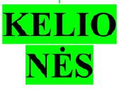 Kasdieną vežame į Angliją, Vokietiją Olandiją - nuotraukos Nr. 6