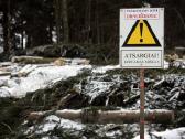 Tvarkome apleistus laukus,zemes.mokame iki100eu/ha - nuotraukos Nr. 2 | Skelbiu.lt Tvarkome apleistus laukus,zemes.mokame iki100eu/ha - nuotraukos Nr. 2