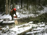 Tvarkome apleistus laukus,zemes.mokame iki100eu/ha - nuotraukos Nr. 3 | Skelbiu.lt Tvarkome apleistus laukus,zemes.mokame iki100eu/ha - nuotraukos Nr. 3