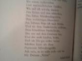 2000 dienų Dachau-koncentracija -stovyklos - nuotraukos Nr. 9