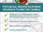 Pjauname medžius - genime šakas. - nuotraukos Nr. 4