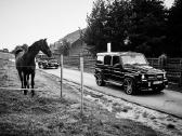 Automobilių nuoma vestuvėms auto nuoma | Skelbiu.lt Automobilių nuoma vestuvėms auto nuoma