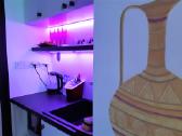 Mini apartamentai su jacuzzi ir sauna - nuotraukos Nr. 14