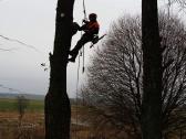 Avarinių medžių , krūmų pjovimas. Arboristas. - nuotraukos Nr. 10