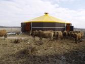 Skardinių angarų,pastatų,sandėlių,stogų renovacija - nuotraukos Nr. 20
