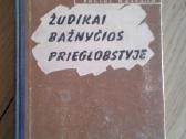 B.baranauskas. Zudikai baznyciosprieglobst 1963 m.