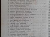 B.baranauskas. Zudikai baznyciosprieglobst 1963 m. - nuotraukos Nr. 6
