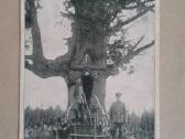 1-o pasaulinio k. atvirutės.+- nuo 1910 - nuotraukos Nr. 9