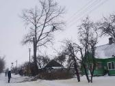 Arboristas. Medžių pjovimas, kelmų naikinimas - nuotraukos Nr. 6
