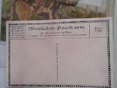 1914 m. 1-as pasaul. k. sunys sanit. atvirukai - nuotraukos Nr. 6