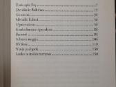 Knyga Teodora ir sfinkso paslaptis - nuotraukos Nr. 4