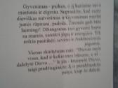 A.svijašas - nuotraukos Nr. 4